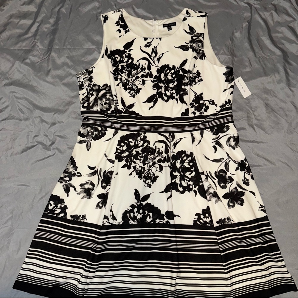 Lane Bryant Black and White Floral Dress